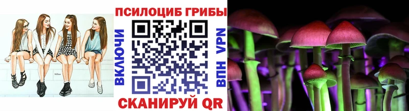 мега как зайти  Приволжск  Галлюциногенные грибы Psilocybe  продажа наркотиков 